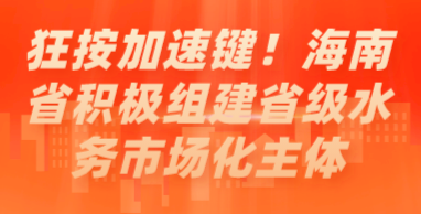 狂按加速鍵！海南省積極組建省級水務市場化主體